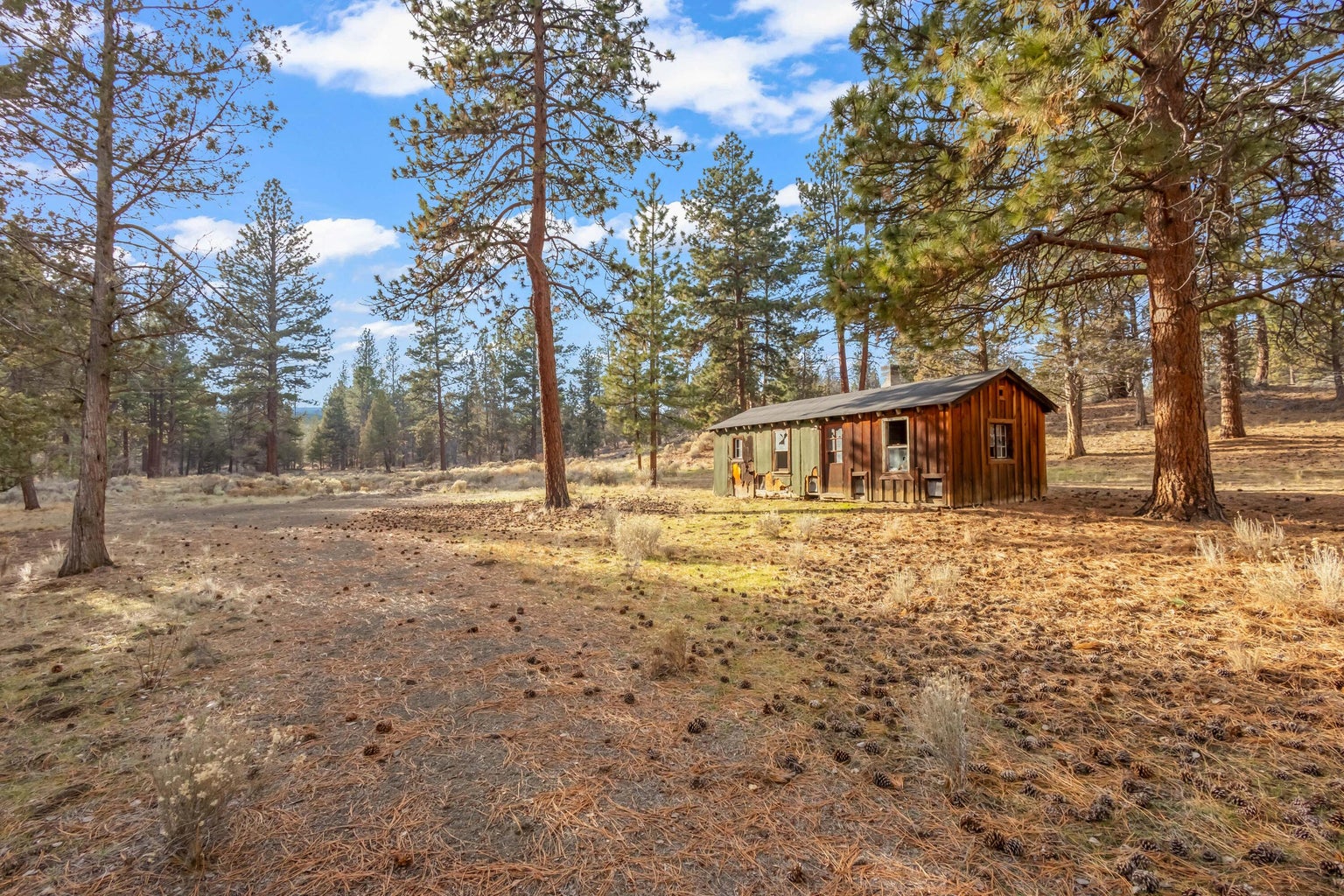 Photo of 16430 Highway 126 51 of 58