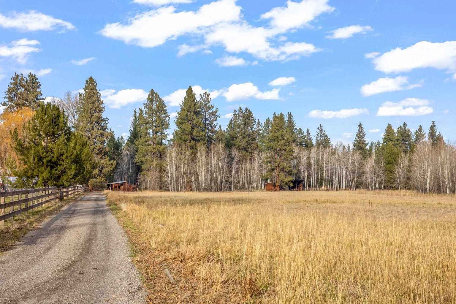 Photo of 16430 Highway 126 54 of 58