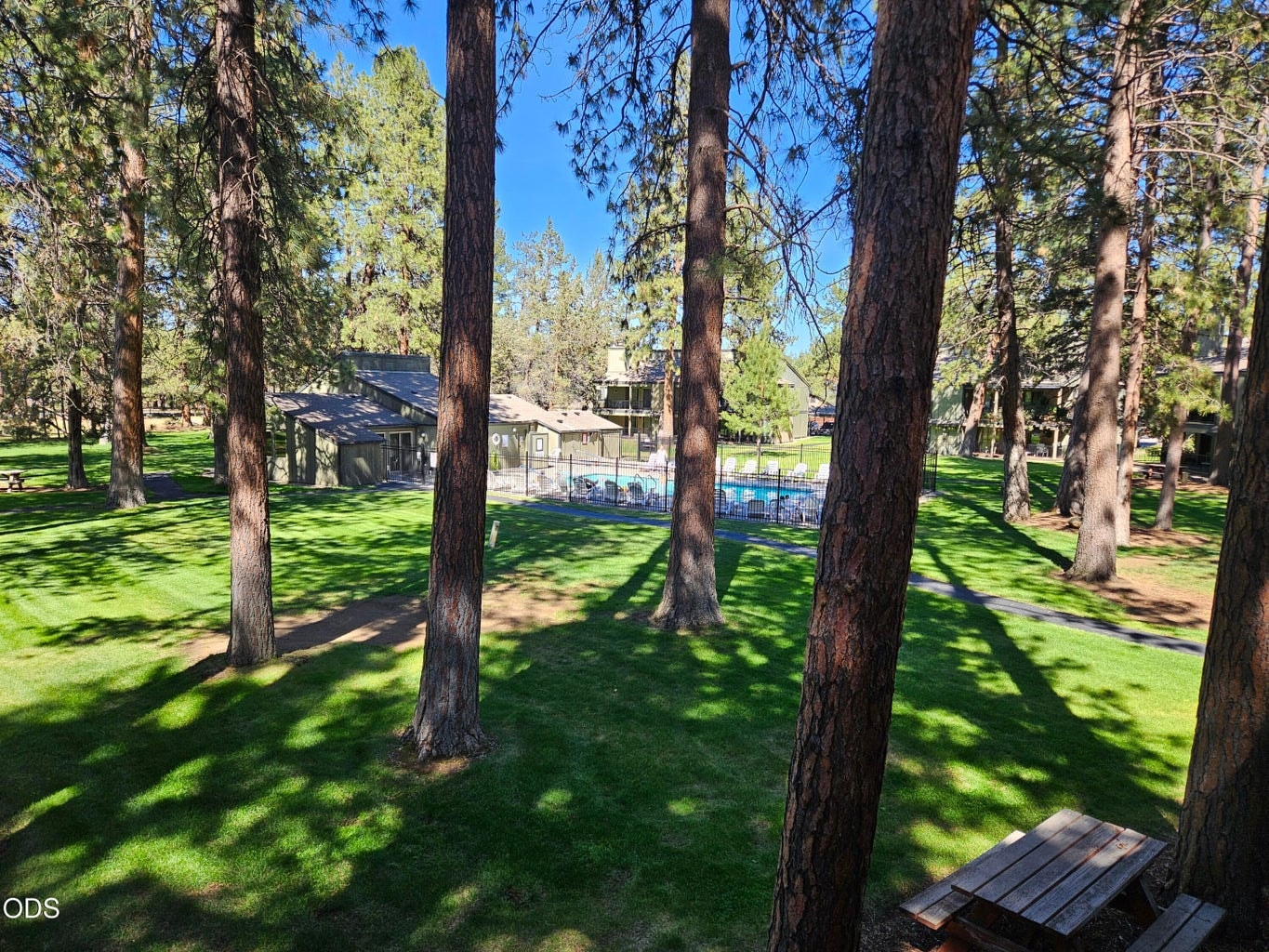 View from covered back deck