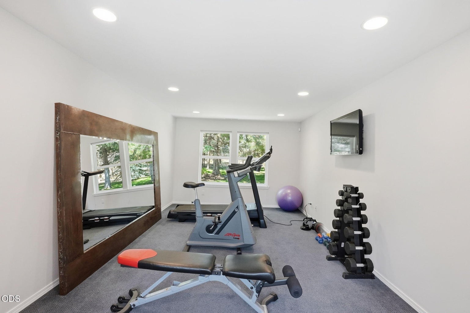Gym - could be 2nd office, workshop etc.