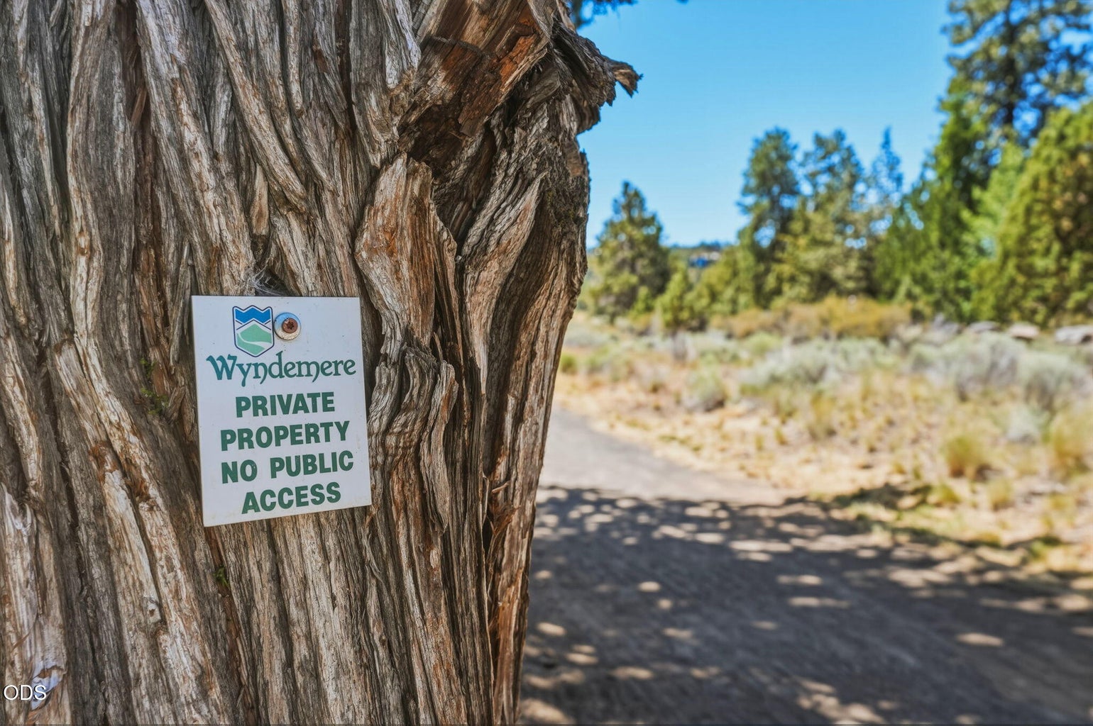 Wyndemere - River Trail Access.
