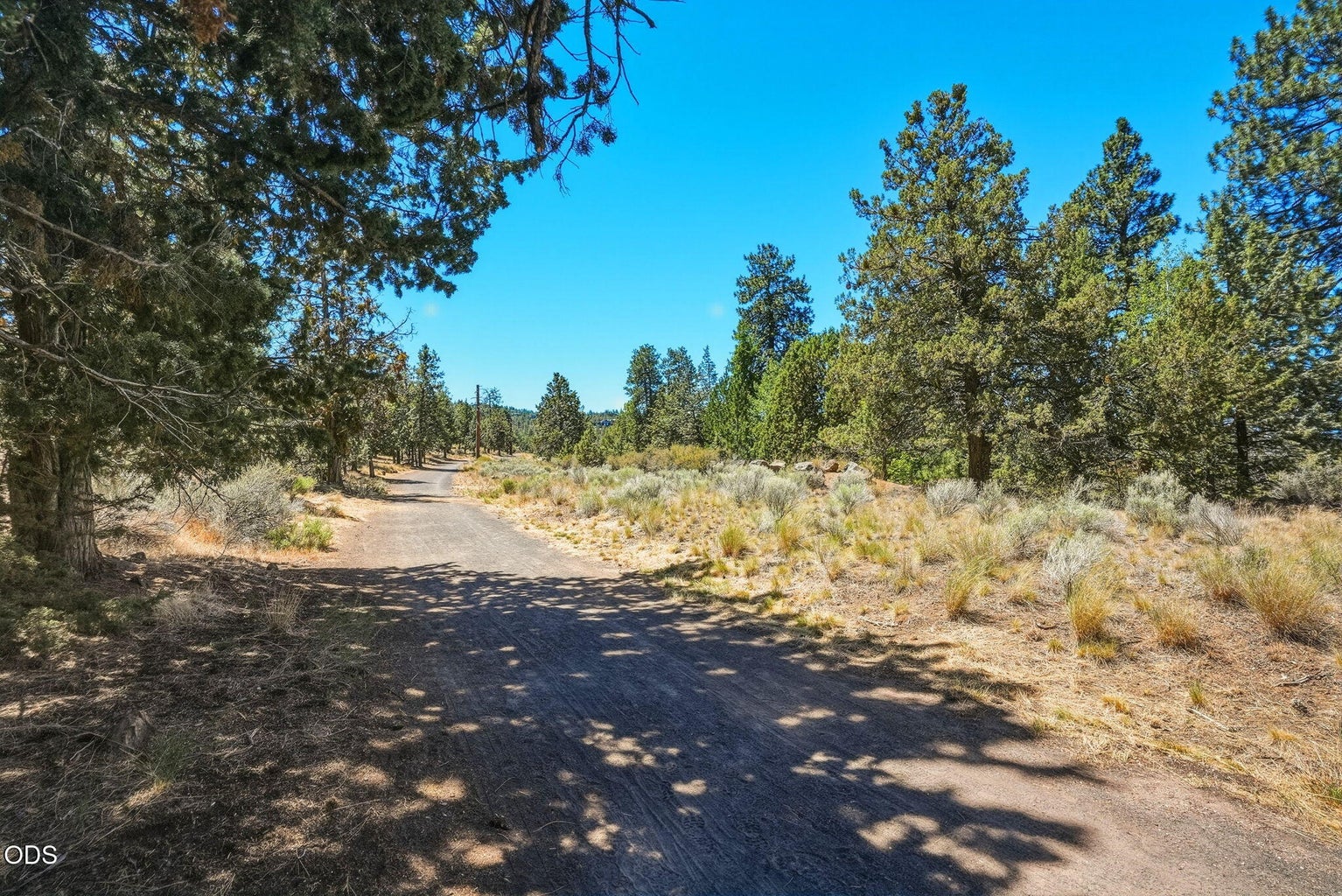 Deschutes River Trail