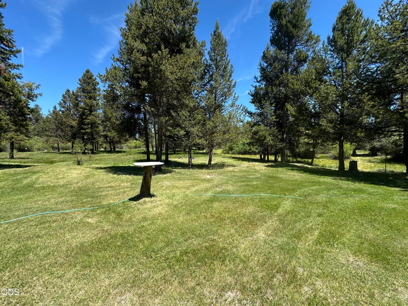 MANY ACRES OF GREENSPACE FOR YOUR ENJOYMENT. DISC GOLF, ANYONE?