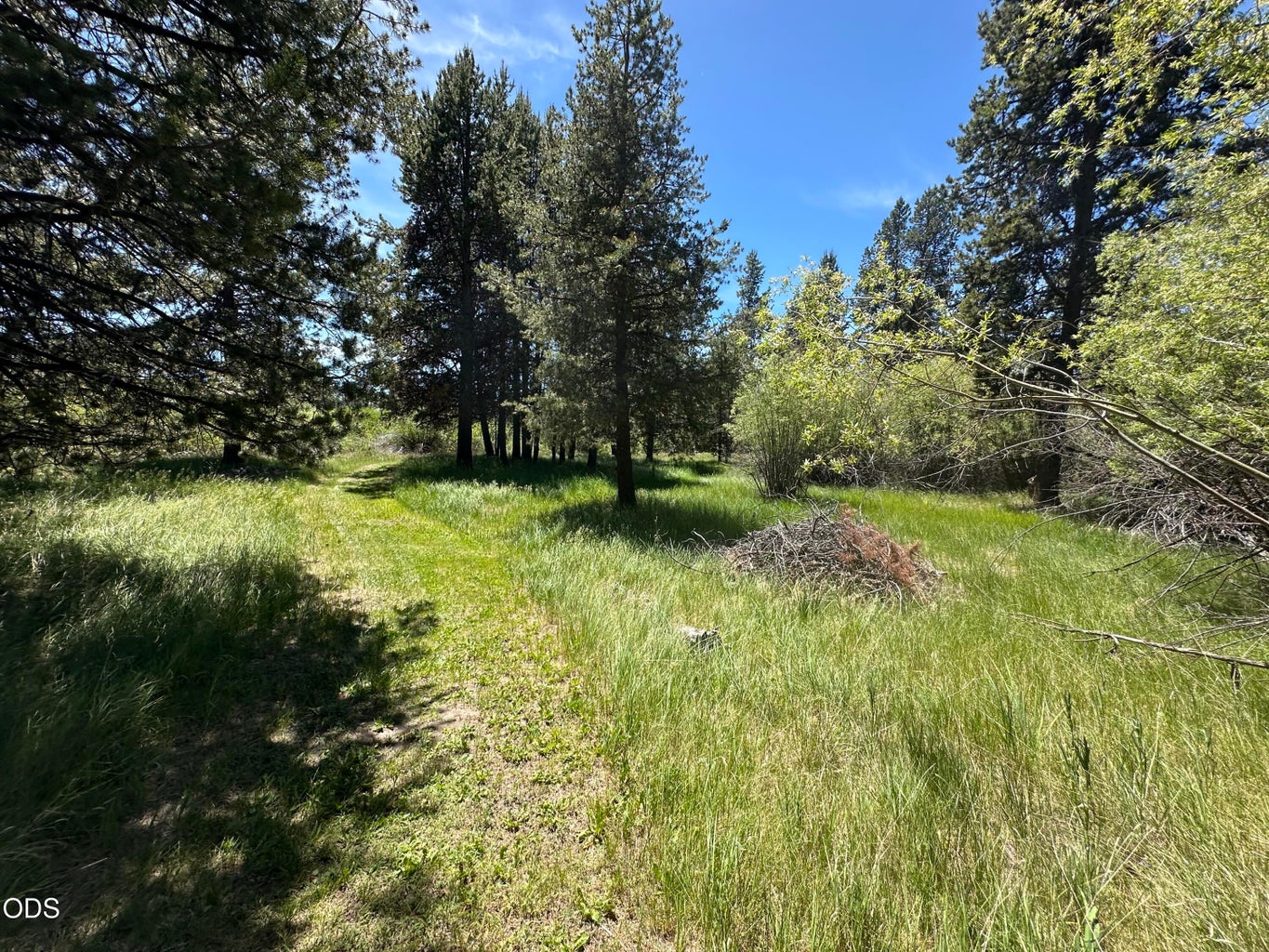 AND ANOTHER TRAIL...