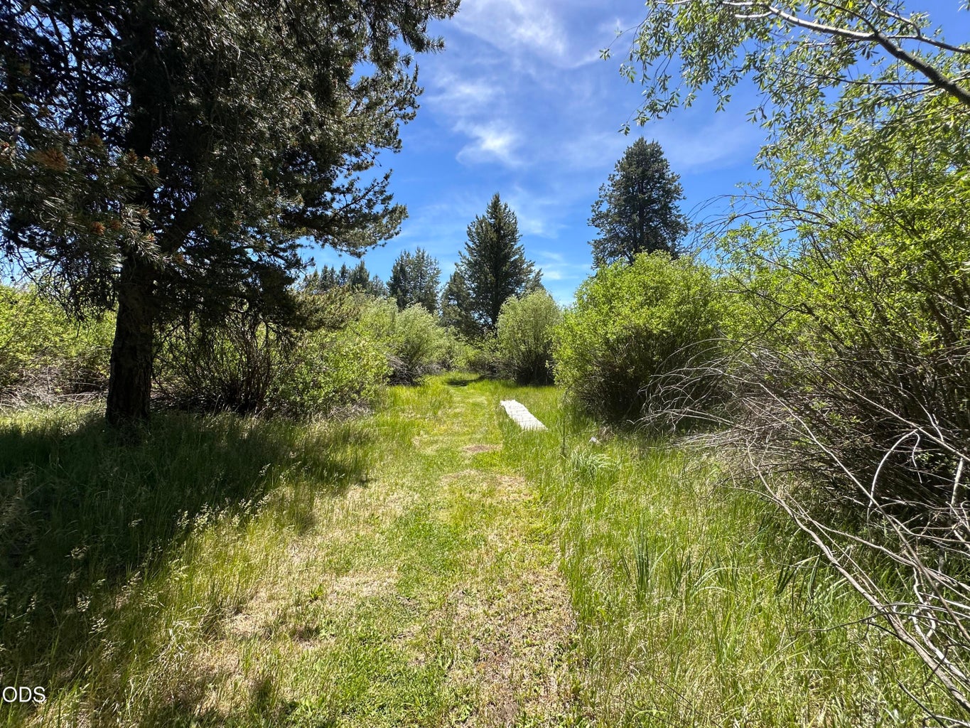 AND TRAILS...