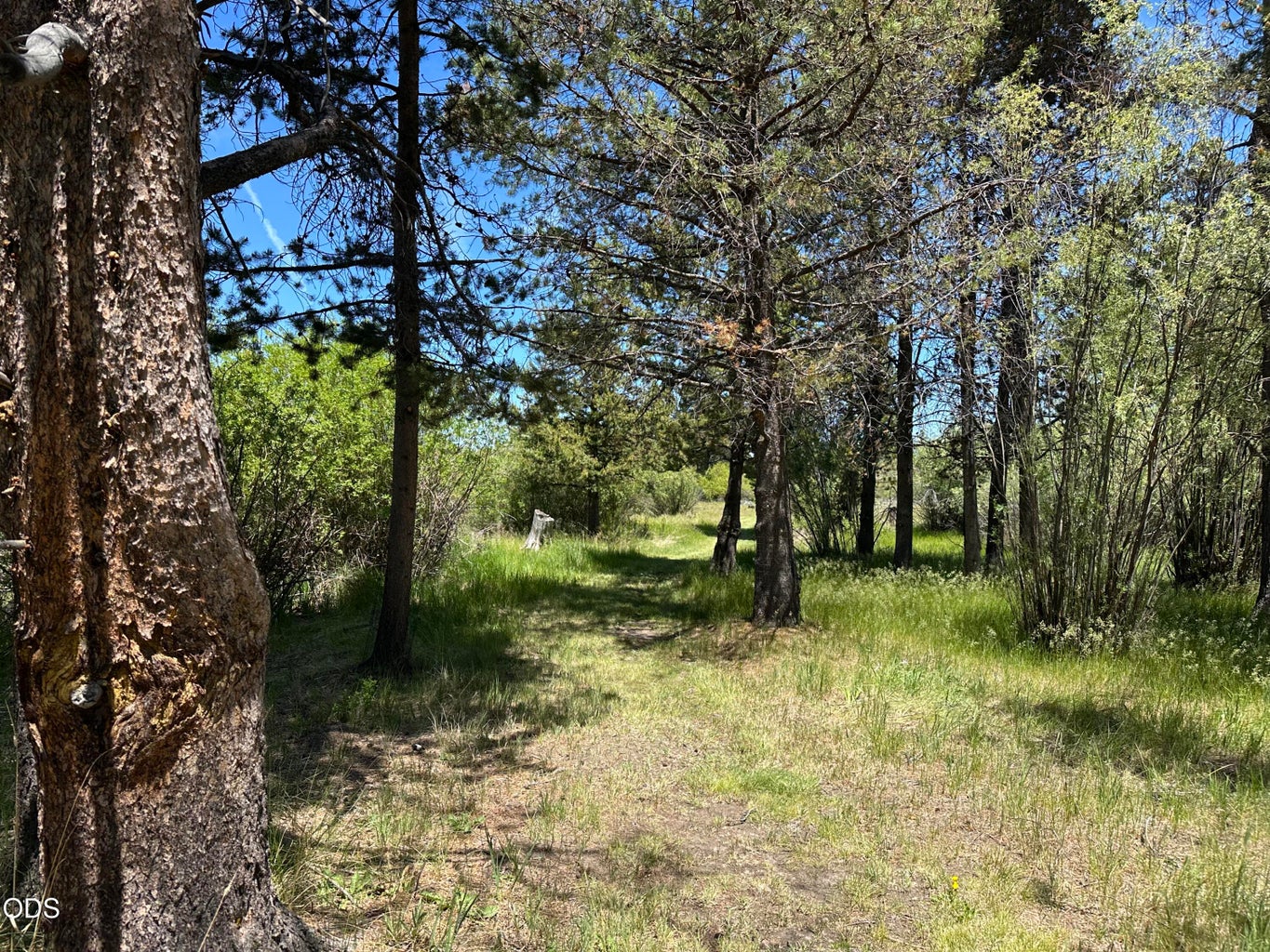 AND TRAILS...