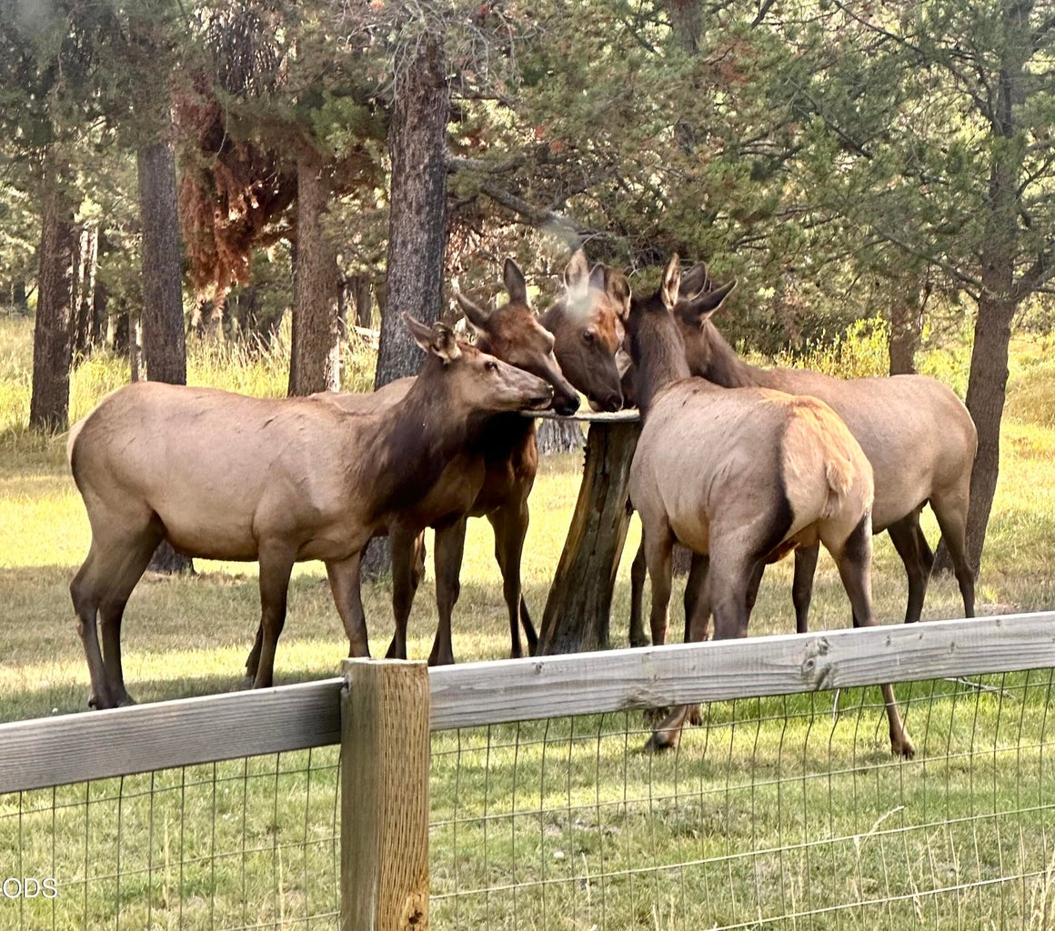 DON'T BE SHY, YOU'RE ALREADY THE TALK OF THE NEIGHBORHERD!