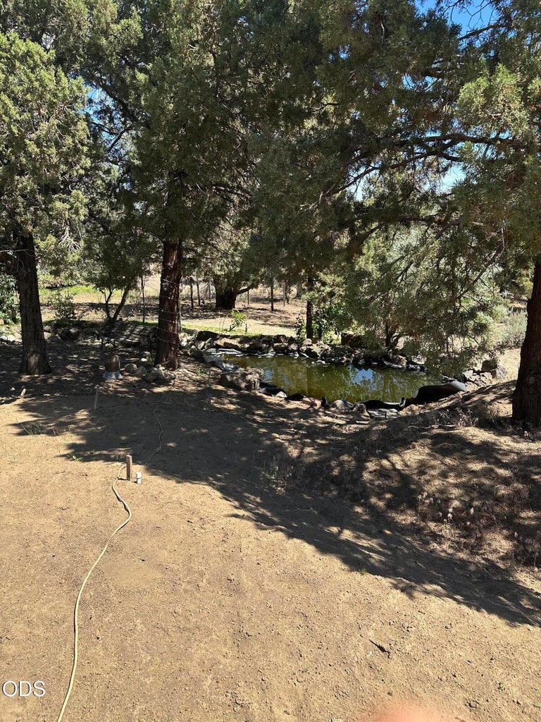 Photo of 23348 Chisholm Trail 8 of 26