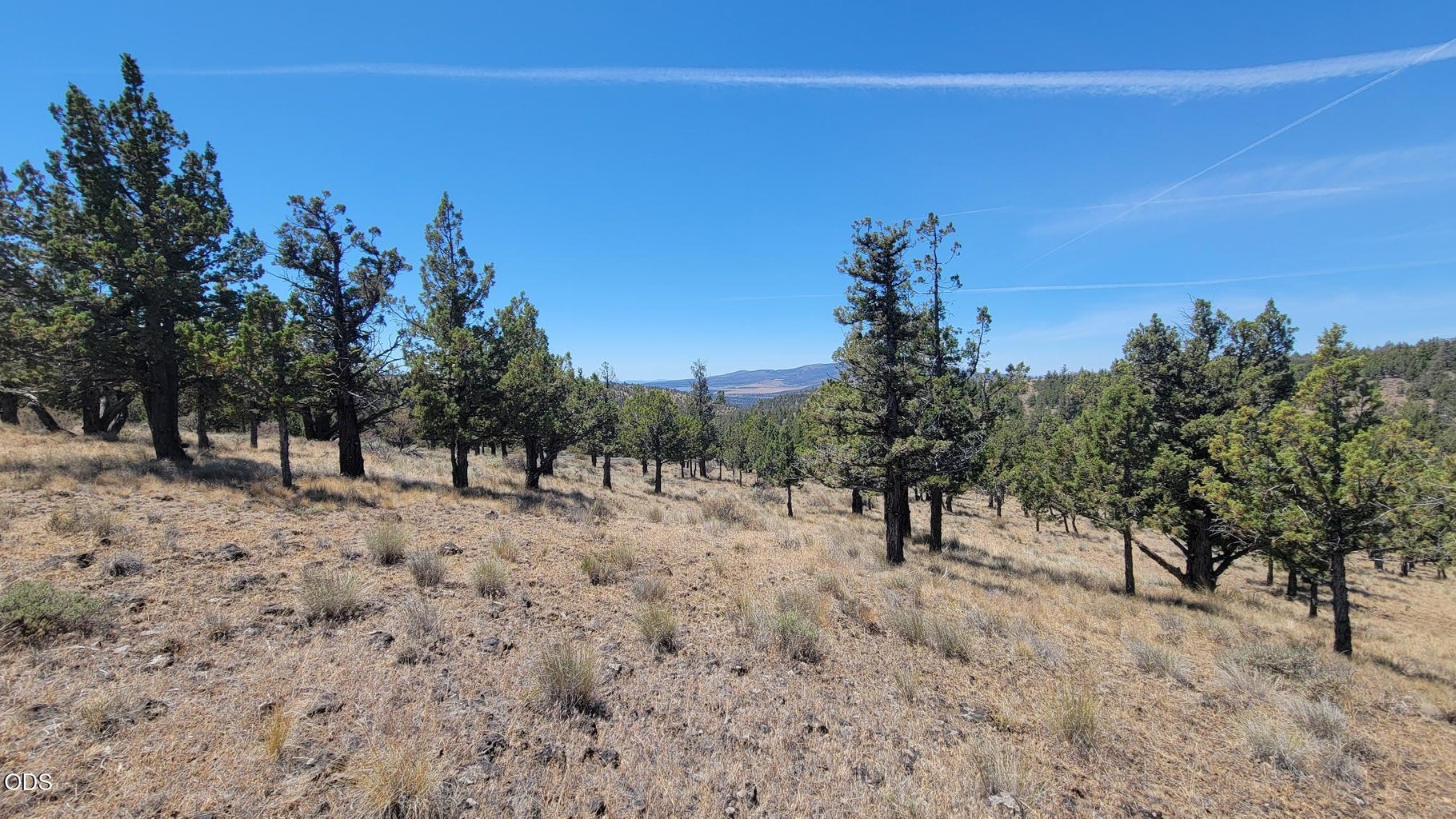 Photo of 1121 SE Happy Trails Lane 8 of 13