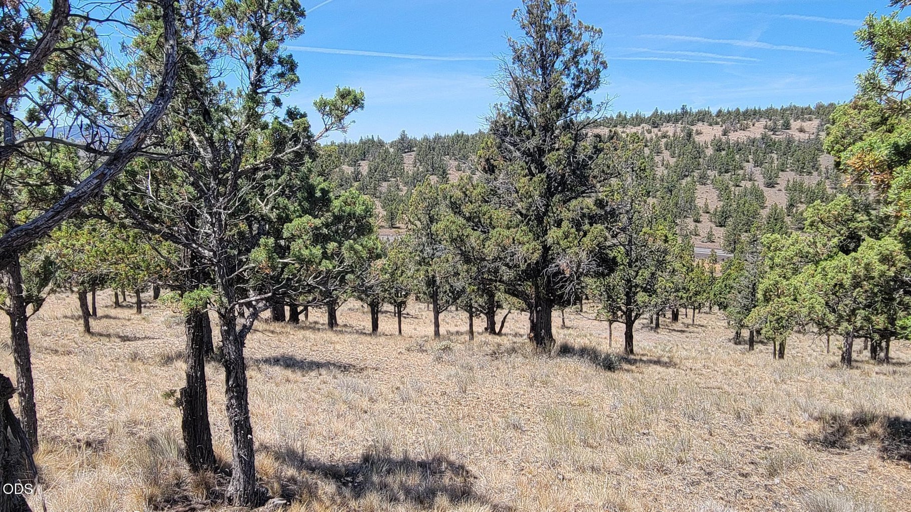 Photo of 1121 SE Happy Trails Lane 2 of 13