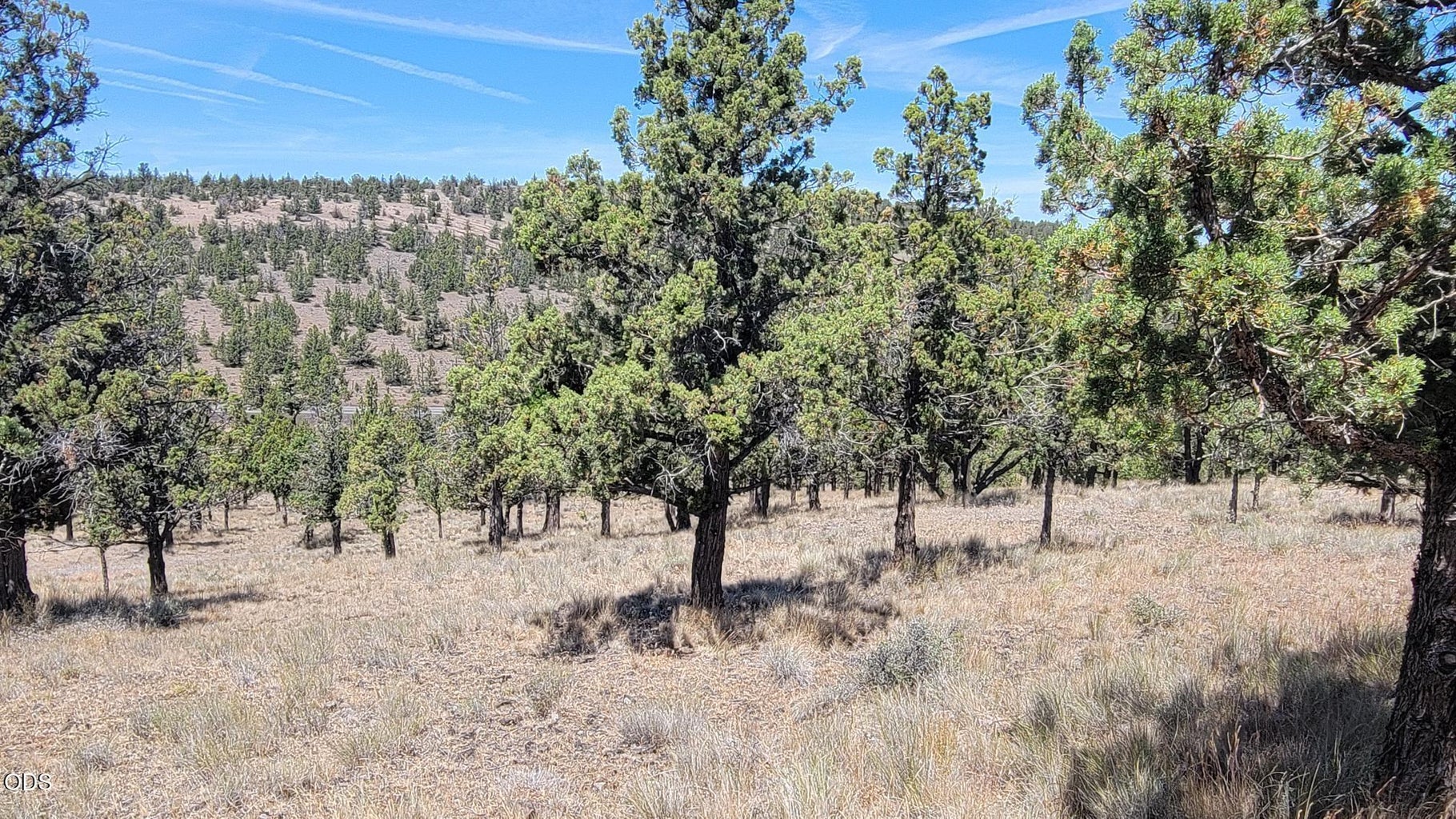 Photo of 1121 SE Happy Trails Lane 10 of 13