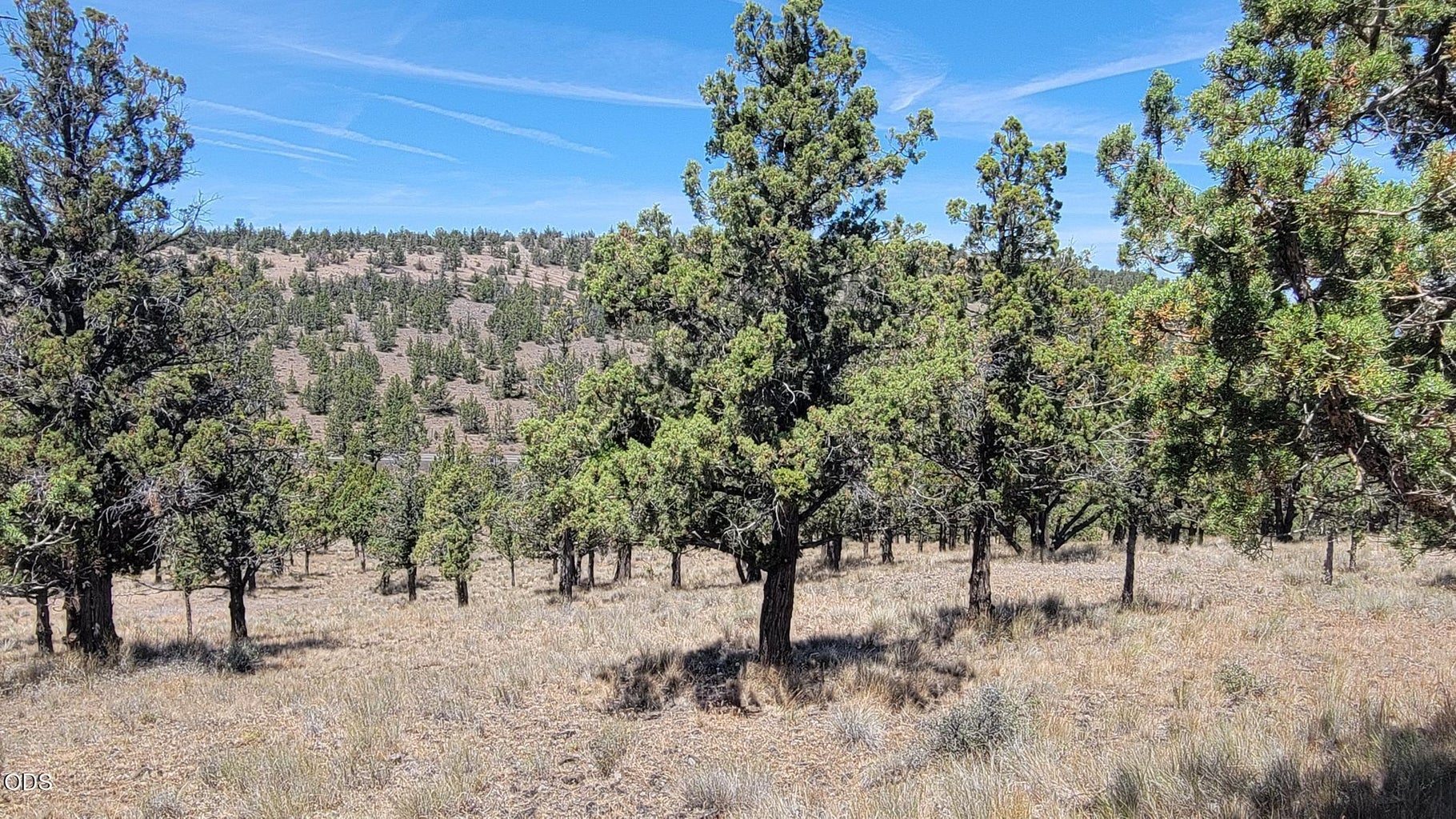 Photo of 1121 SE Happy Trails Lane 4 of 13