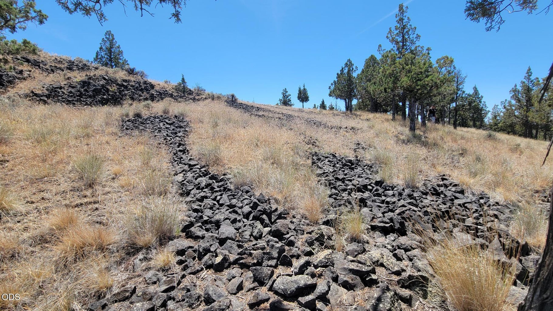 Photo of 1121 SE Happy Trails Lane 12 of 13