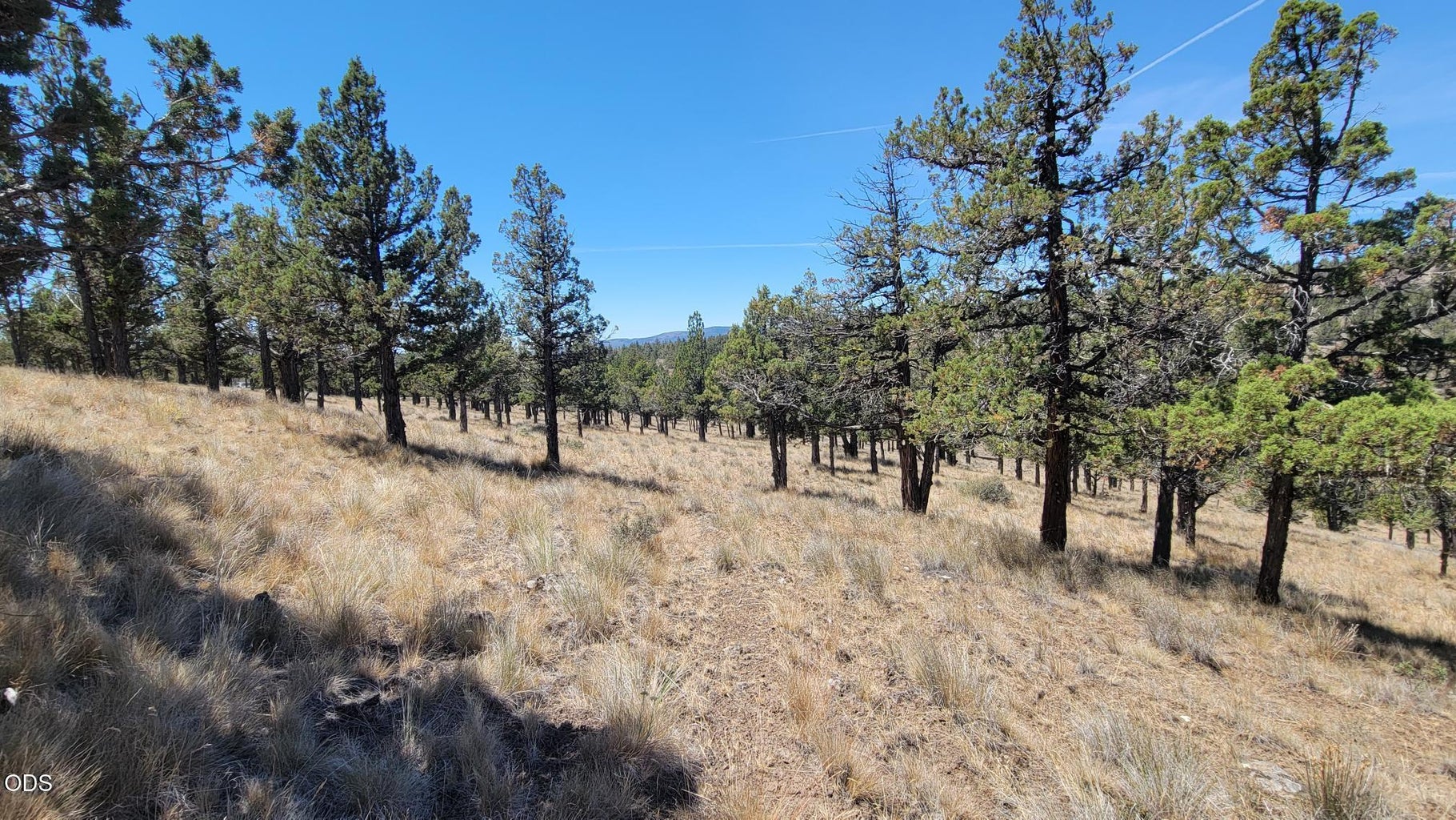 Photo of 1121 SE Happy Trails Lane 13 of 13