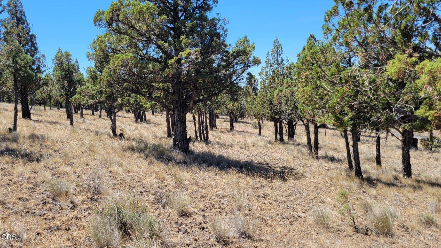 Photo of 1121 SE Happy Trails Lane 9 of 13