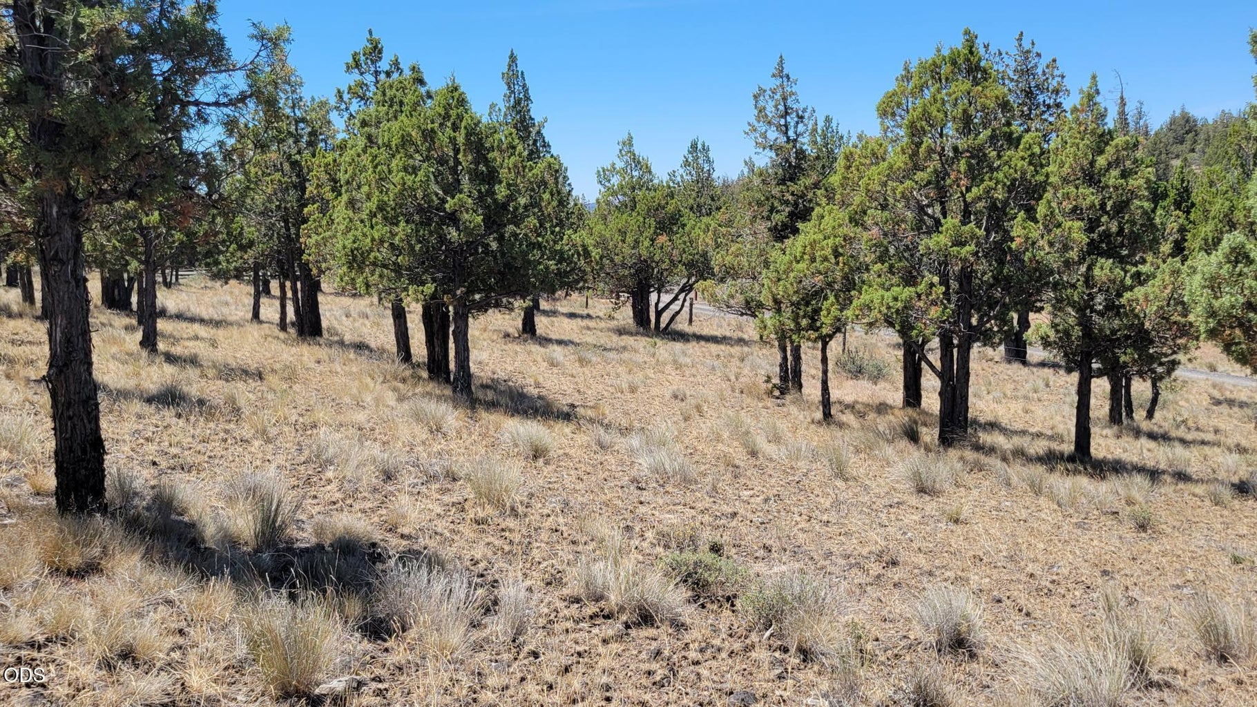 Photo of 1121 SE Happy Trails Lane 3 of 13
