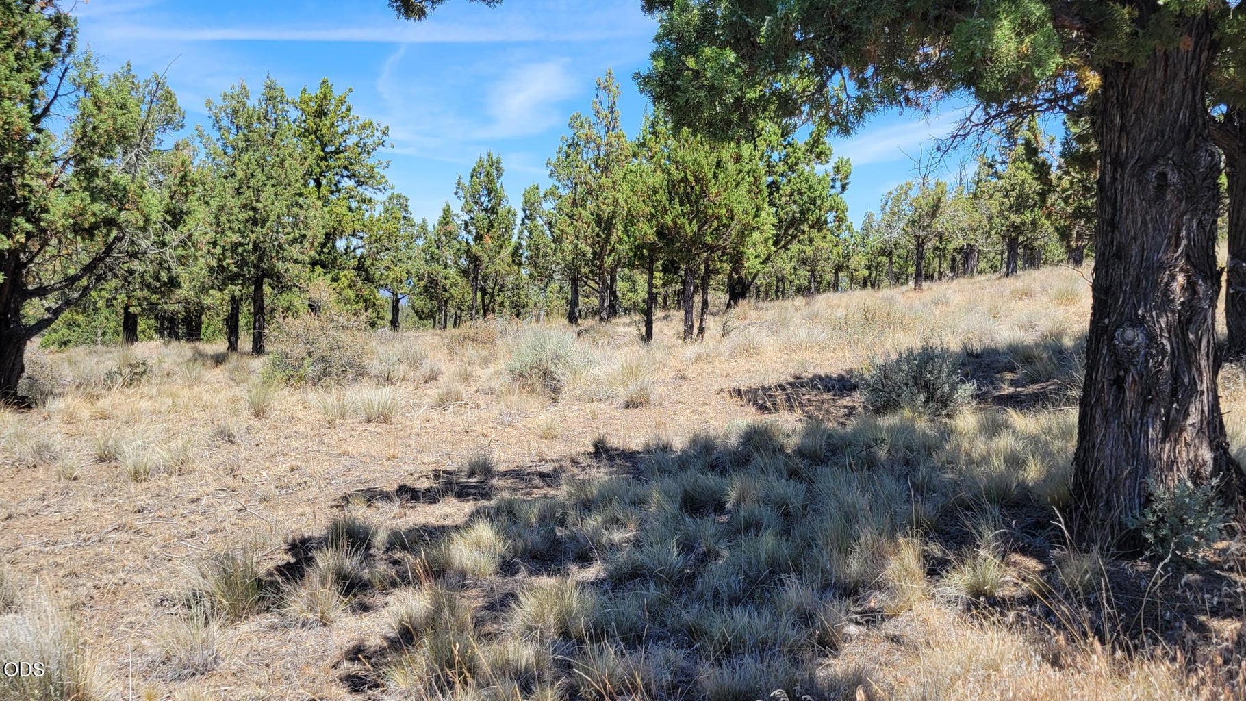 Photo of 1121 SE Happy Trails Lane 6 of 13