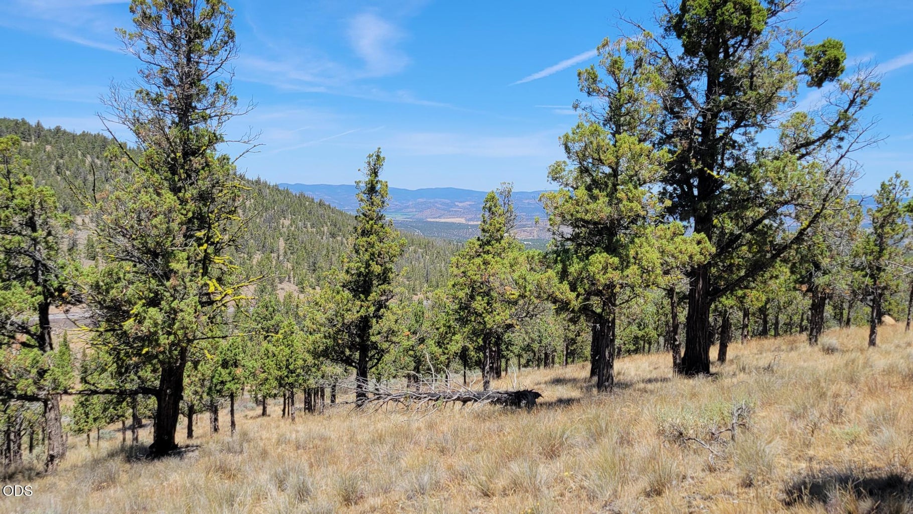 Photo of 1121 SE Happy Trails Lane 7 of 13