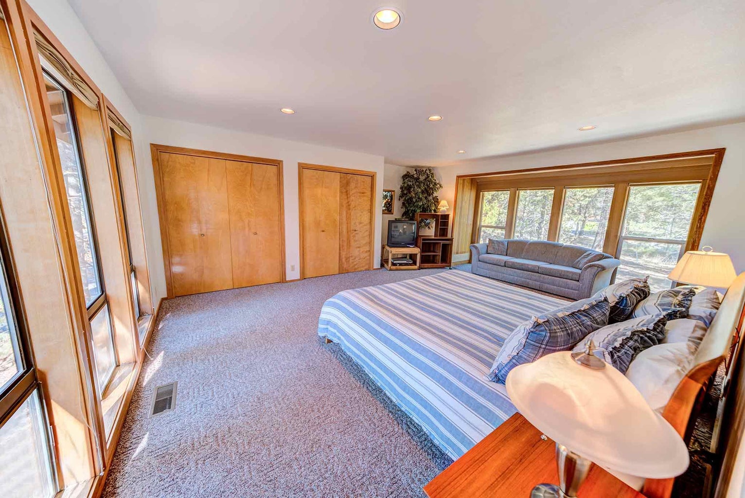 Photo of 57598 White Elm 20 of 32