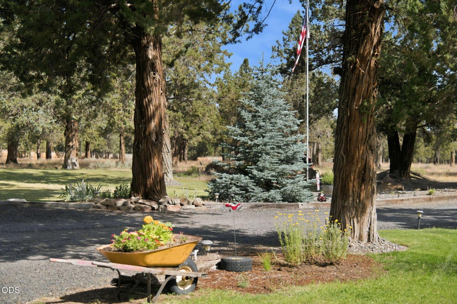 Photo of 17521 Forked Horn 28 of 58