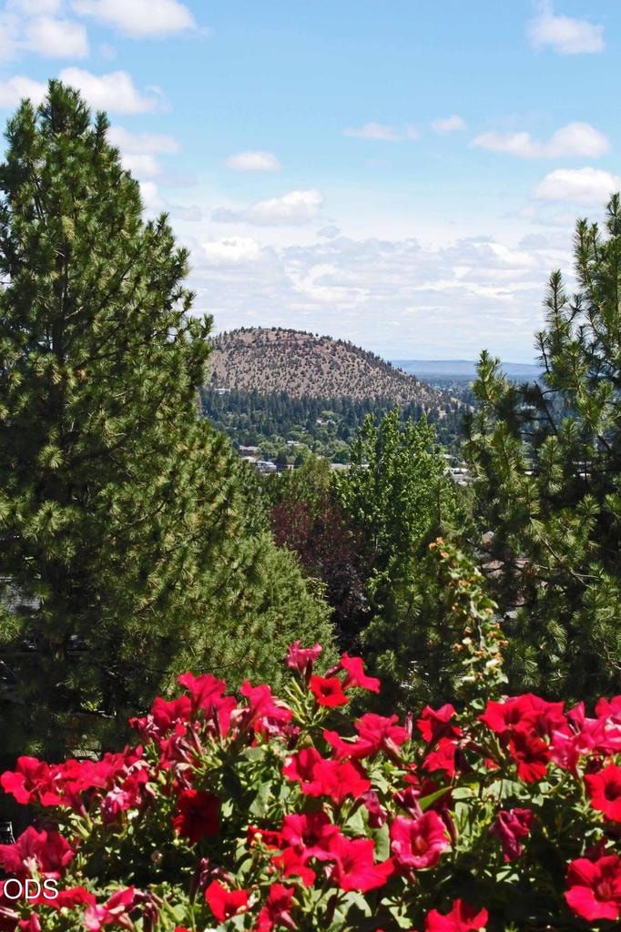 Watch Fireworks from your Fire Pit. Enjoy the view of changing seasons.