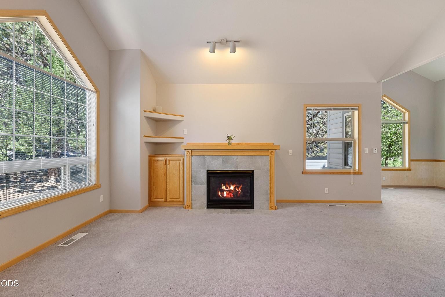 Propane fireplace in living room.