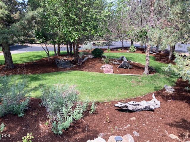 Photo of 387 Goshawk Court 6 of 46