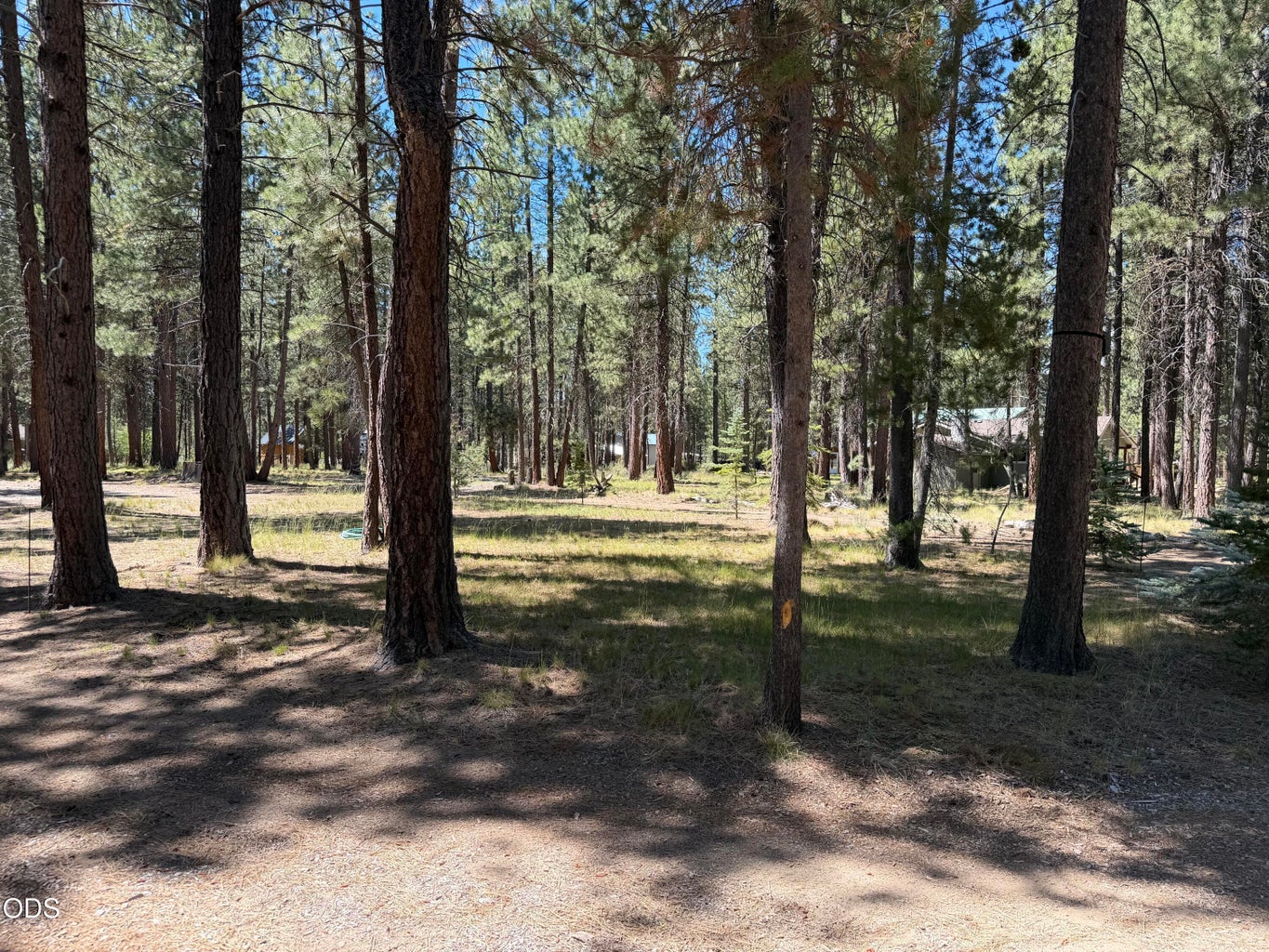 Photo of 16160 Mountain Sheep Lane 31 of 41