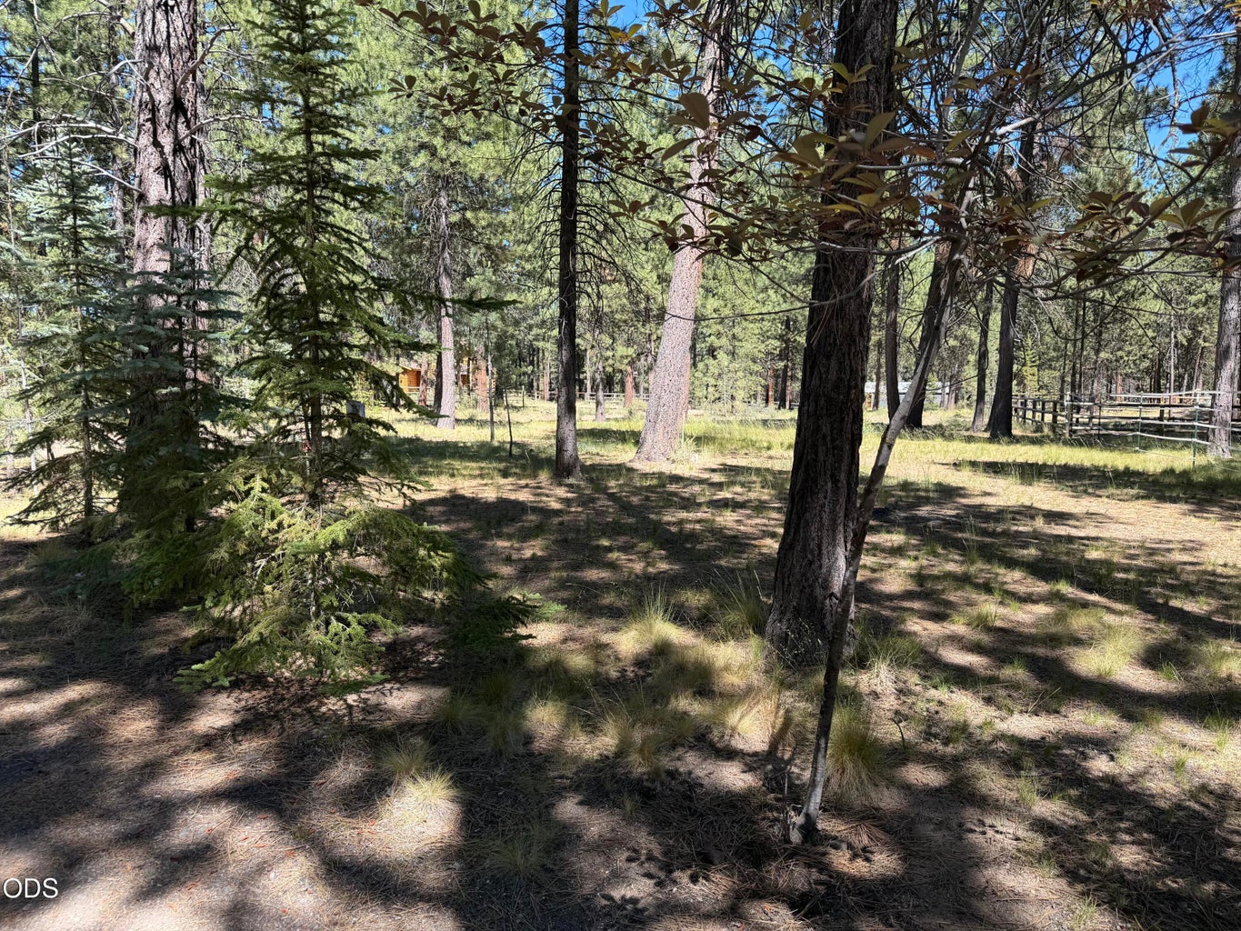 Photo of 16160 Mountain Sheep Lane 32 of 41