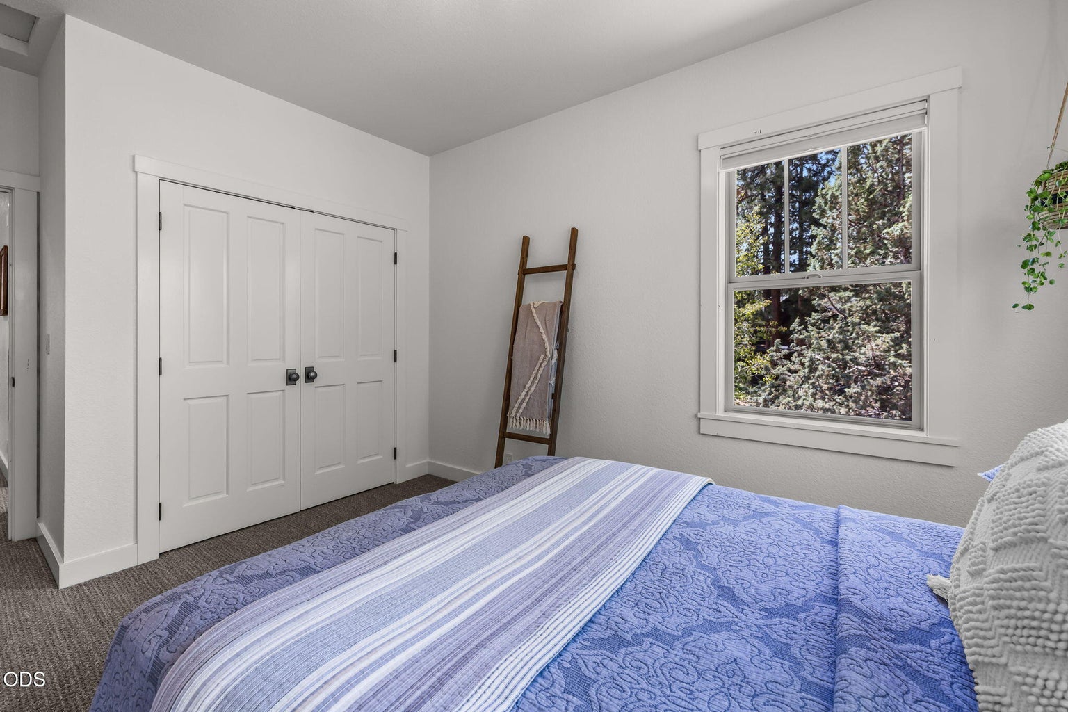 Photo of 665 E Coyote Springs Road 42 of 74