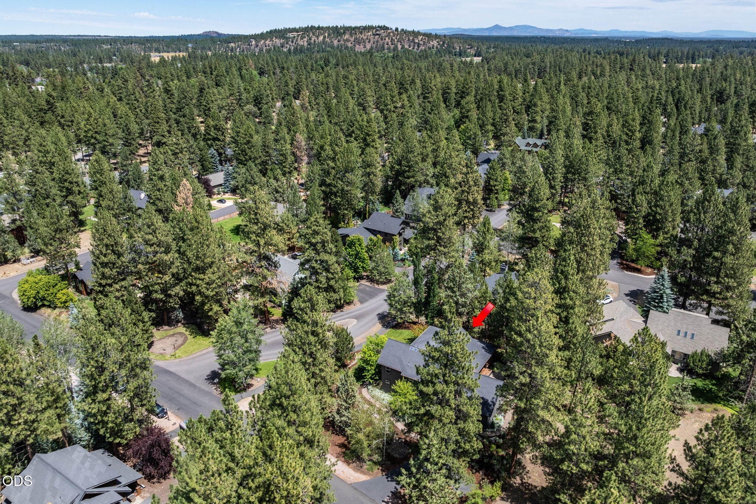 Photo of 665 E Coyote Springs Road 71 of 74