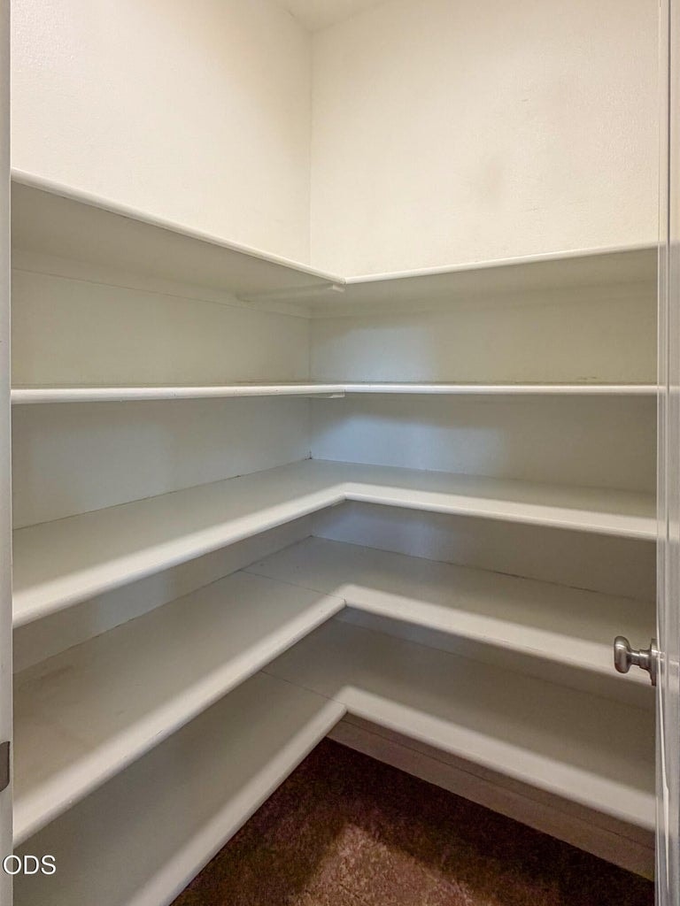 Convenient large pantry with lost of storage