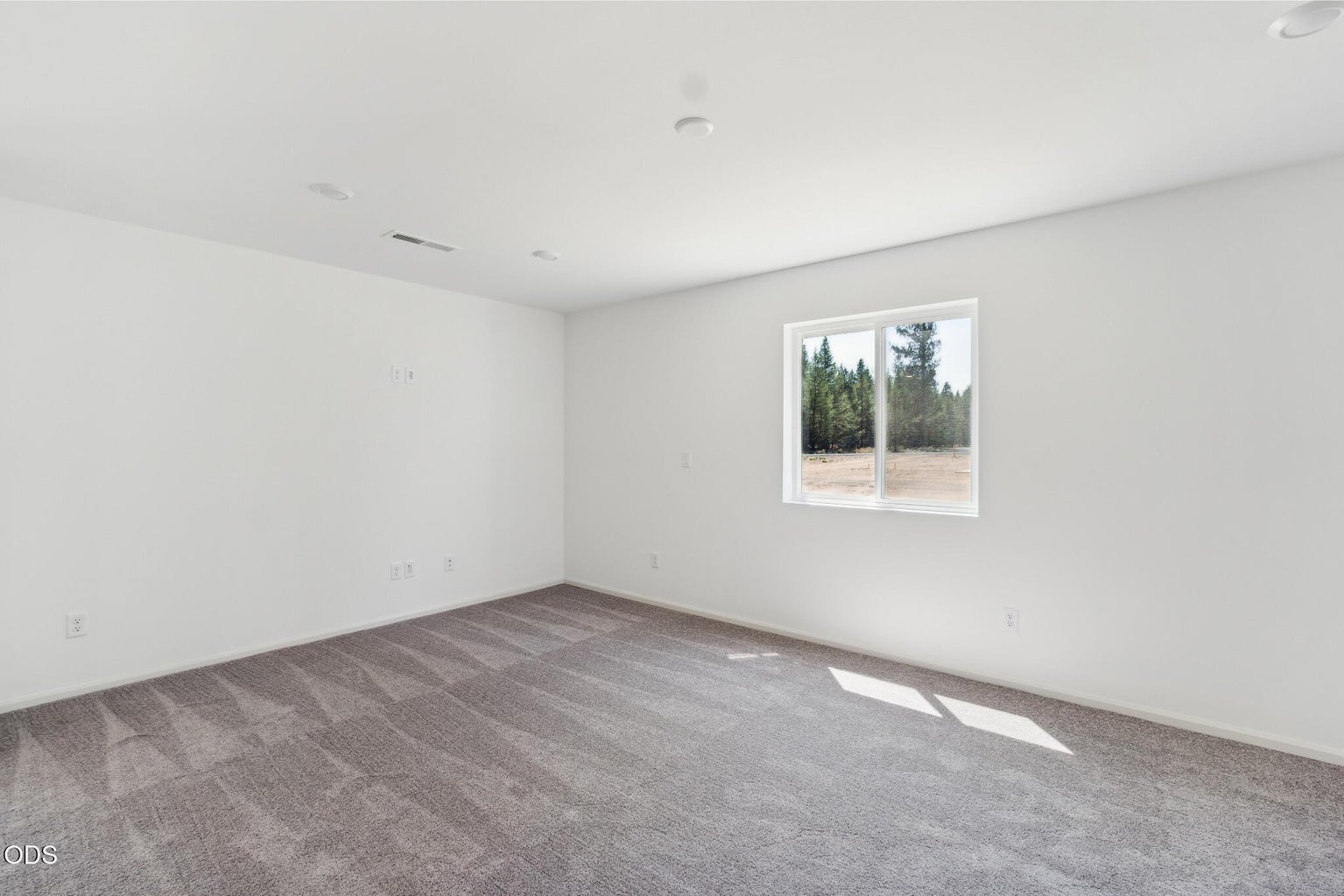 Photo of 16665 Cottage Pine St 5 of 24
