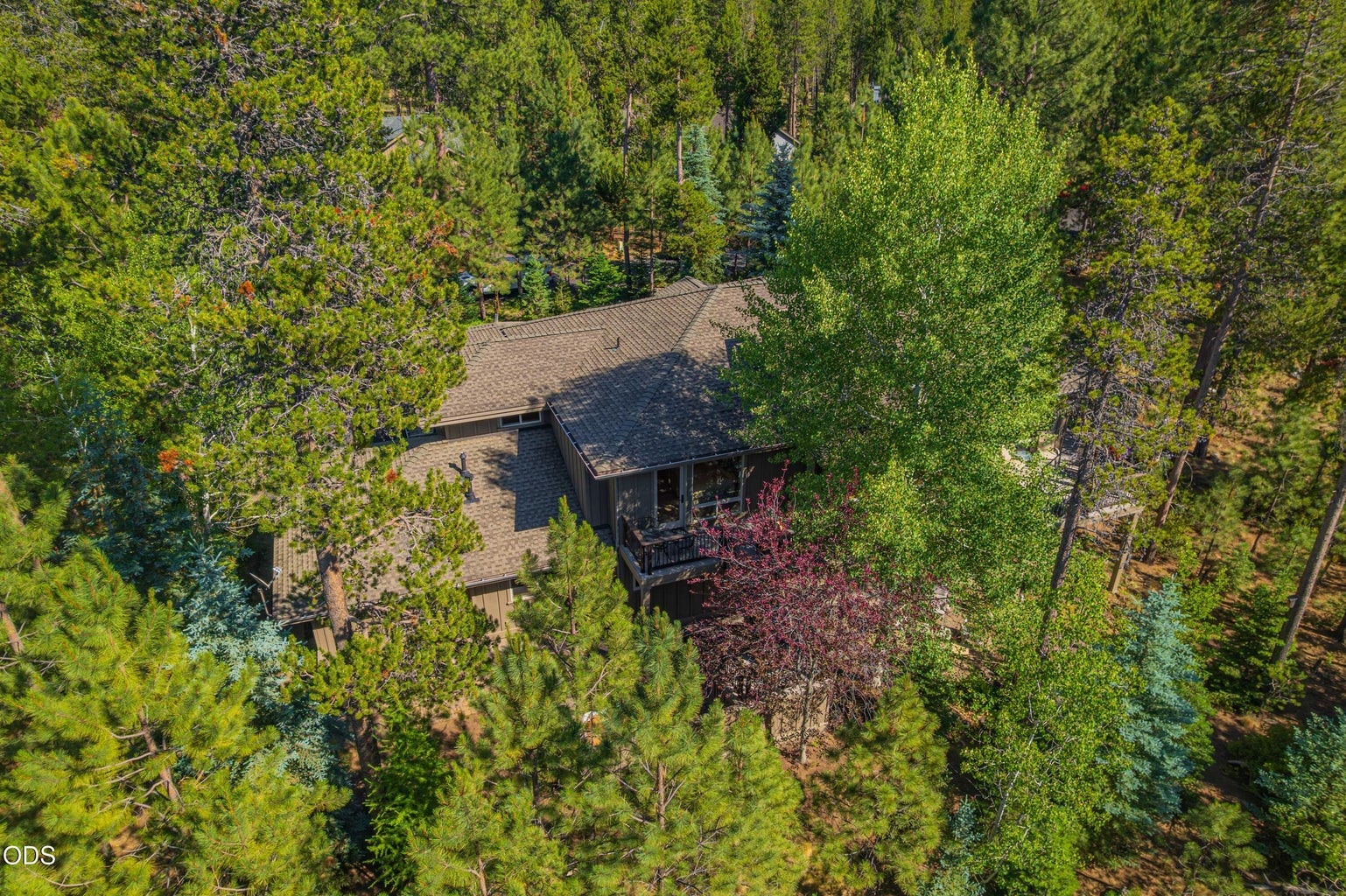 From above, the residence appears deeply settled into a remarkably lush and private forest setting, with mature trees surrounding the home and screening it from neighboring properties.