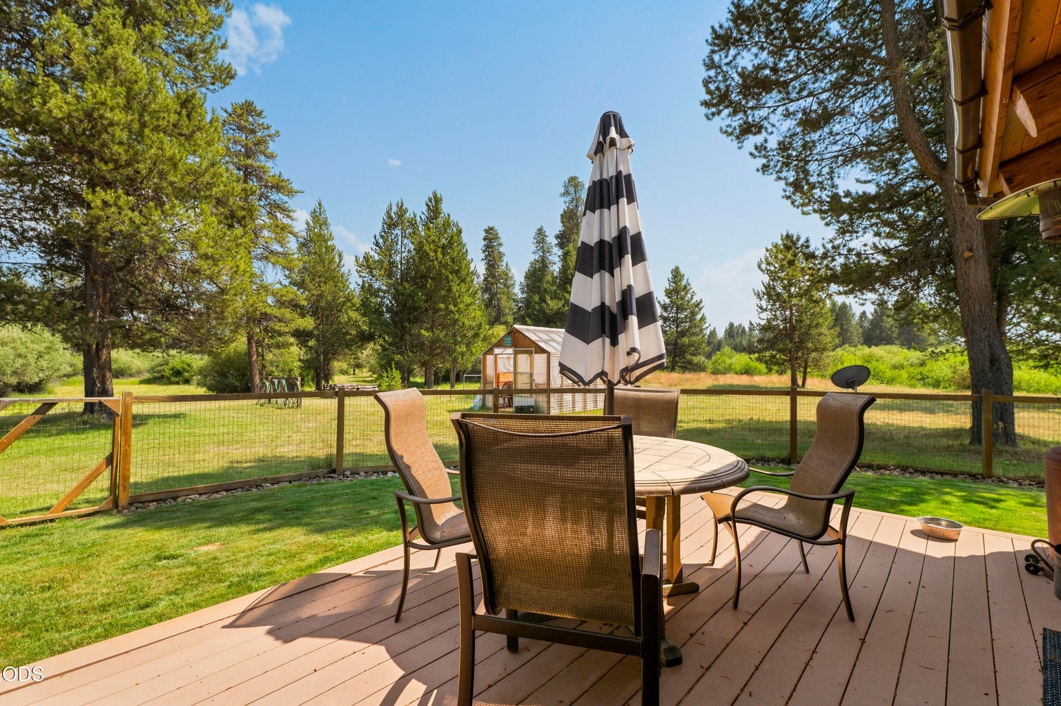 STEP OUT ONTO YOUR DECK AND WATCH THE WILDLIFE.