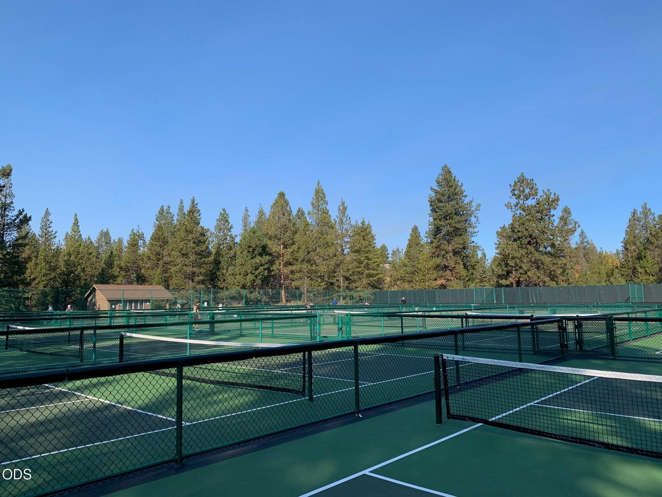 Pickelball courts at Fort Rock Park before the shade covers in between the courts.