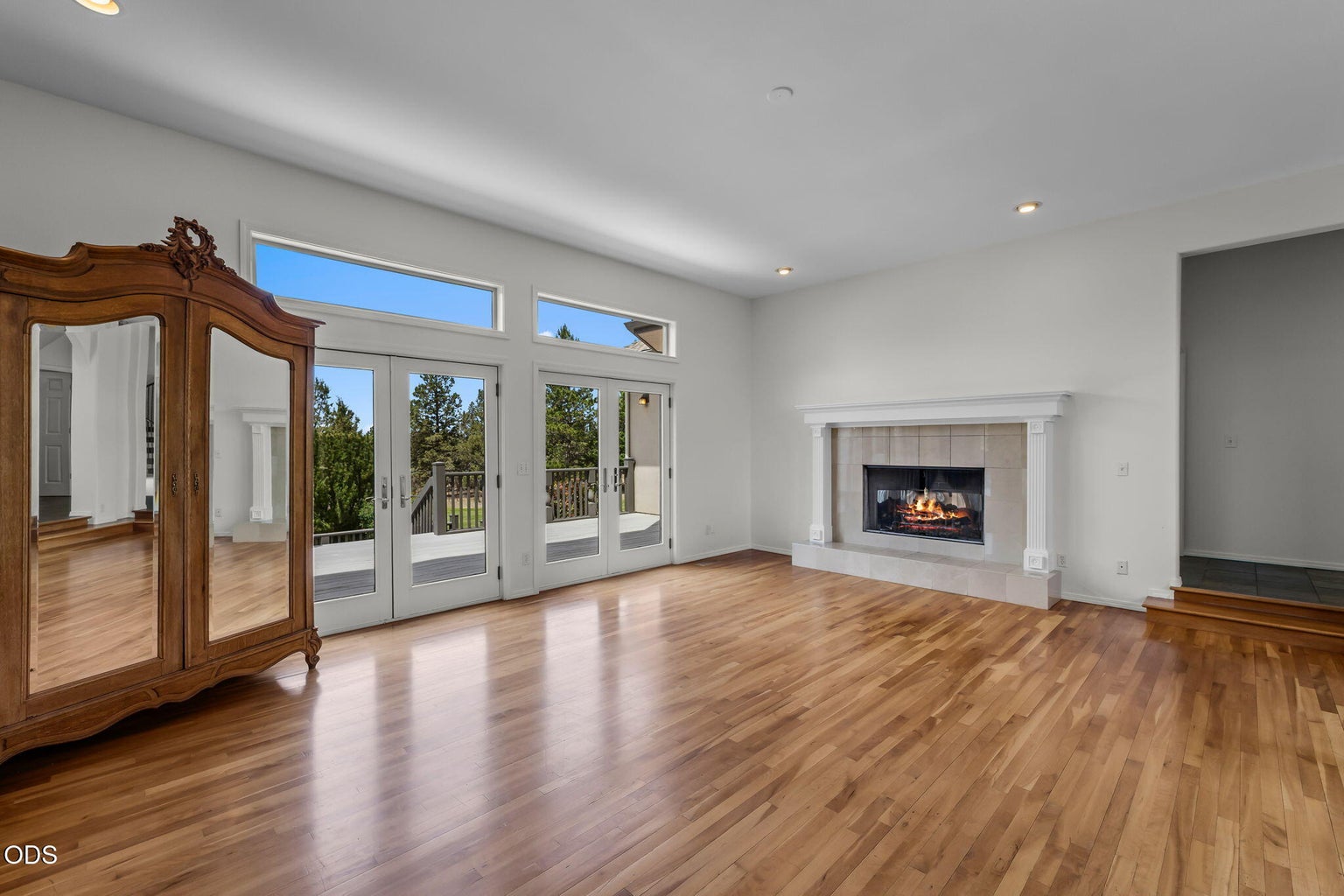 Living room and fireplace