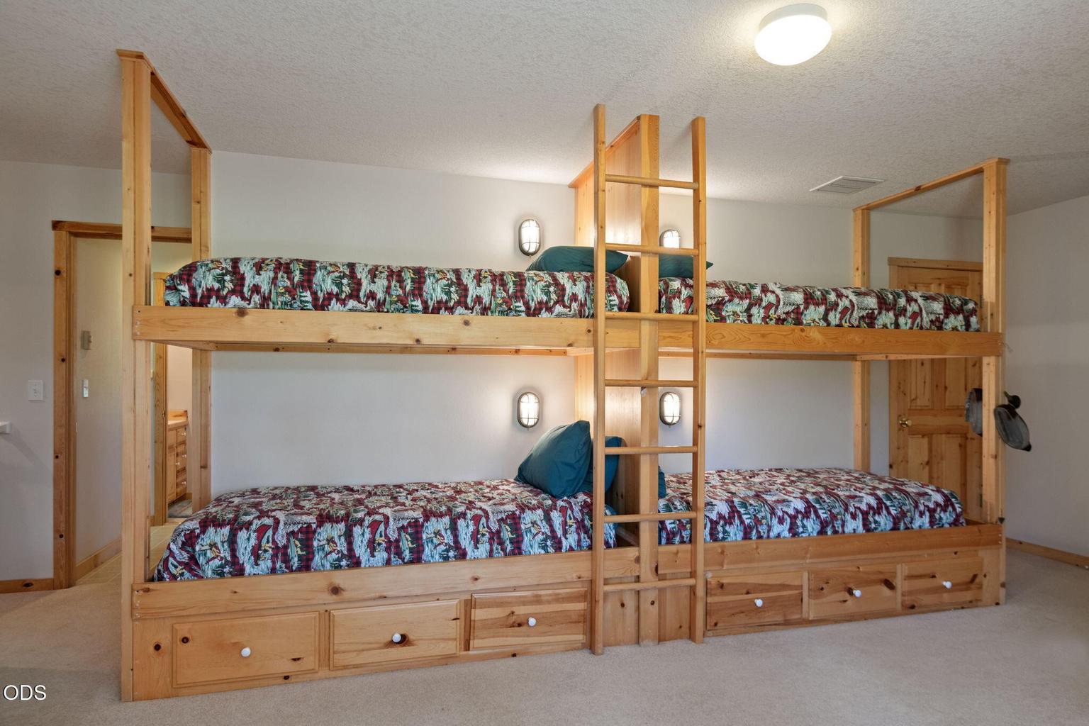 Photo of 70448 Bowdenii 35 of 64
