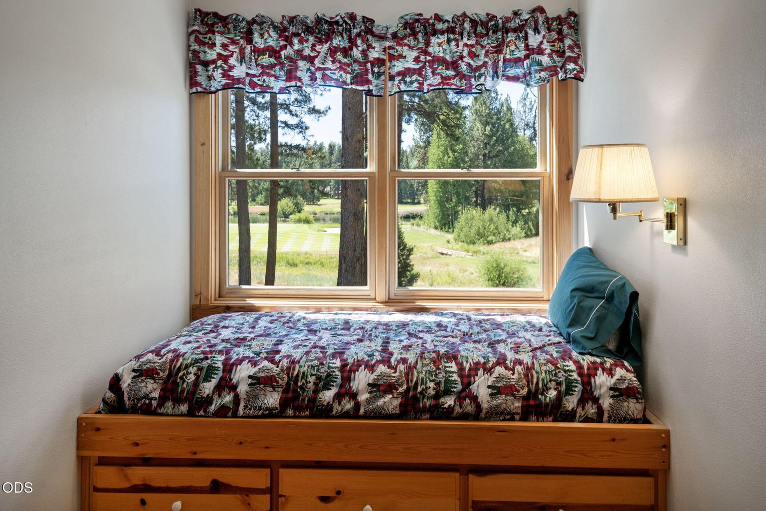 Photo of 70448 Bowdenii 36 of 64