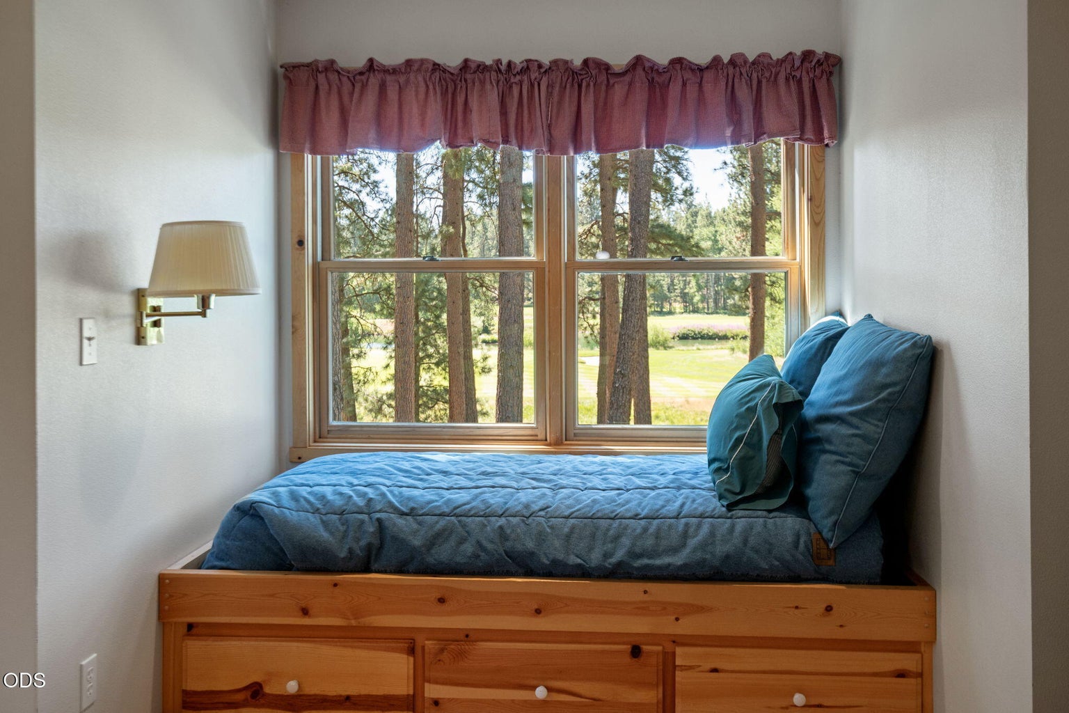 Photo of 70448 Bowdenii 39 of 64
