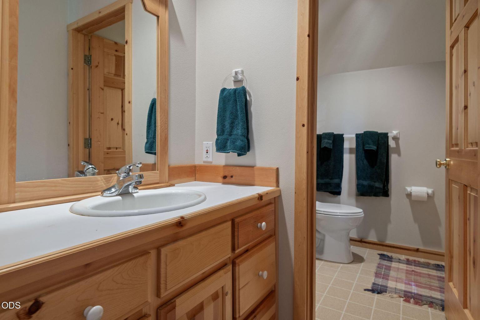 Photo of 70448 Bowdenii 40 of 64