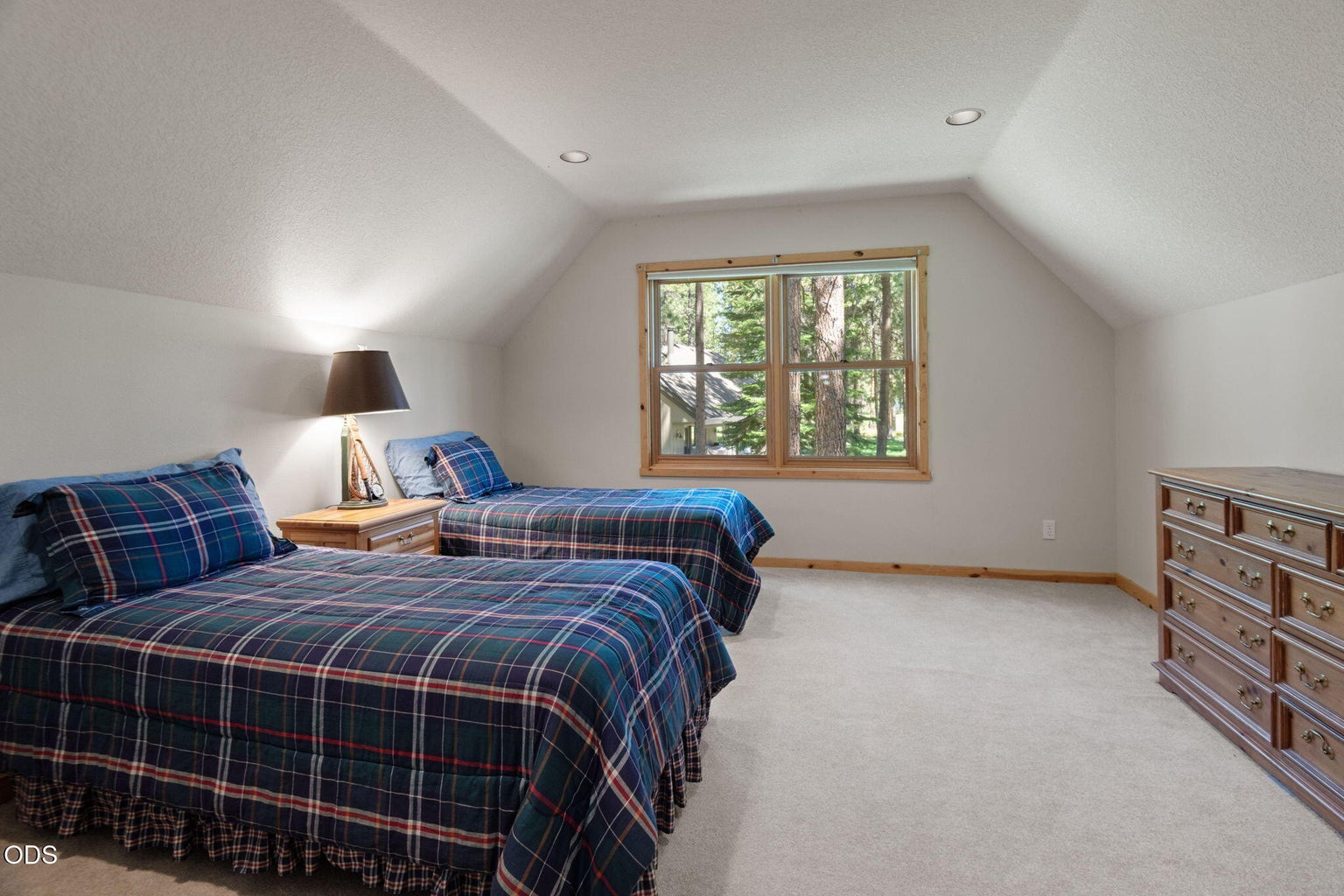 Photo of 70448 Bowdenii 42 of 64