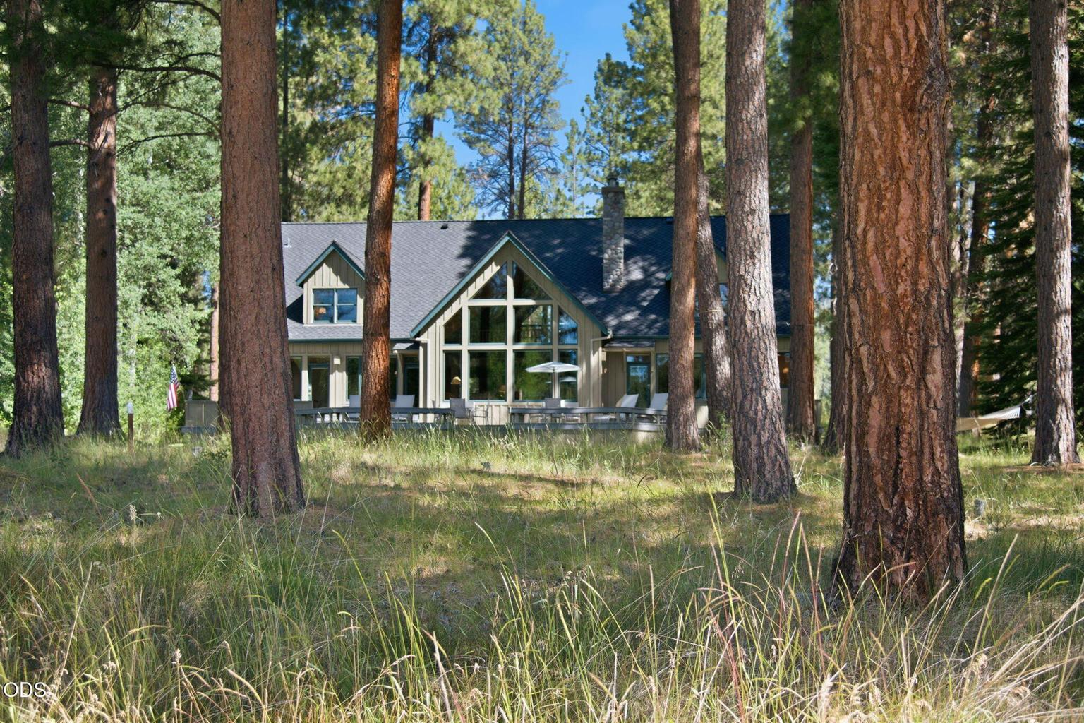 Photo of 70448 Bowdenii 45 of 64