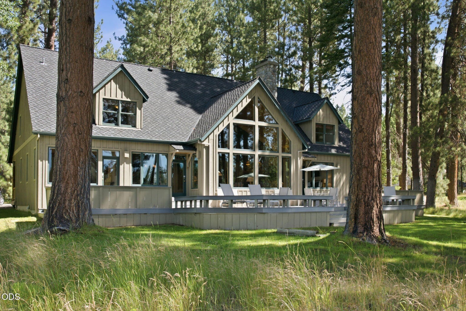 Photo of 70448 Bowdenii 47 of 64