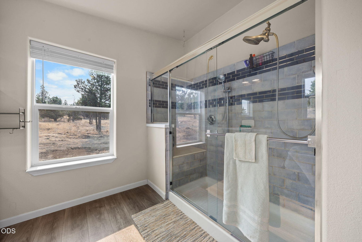 Primary- Large walk in shower