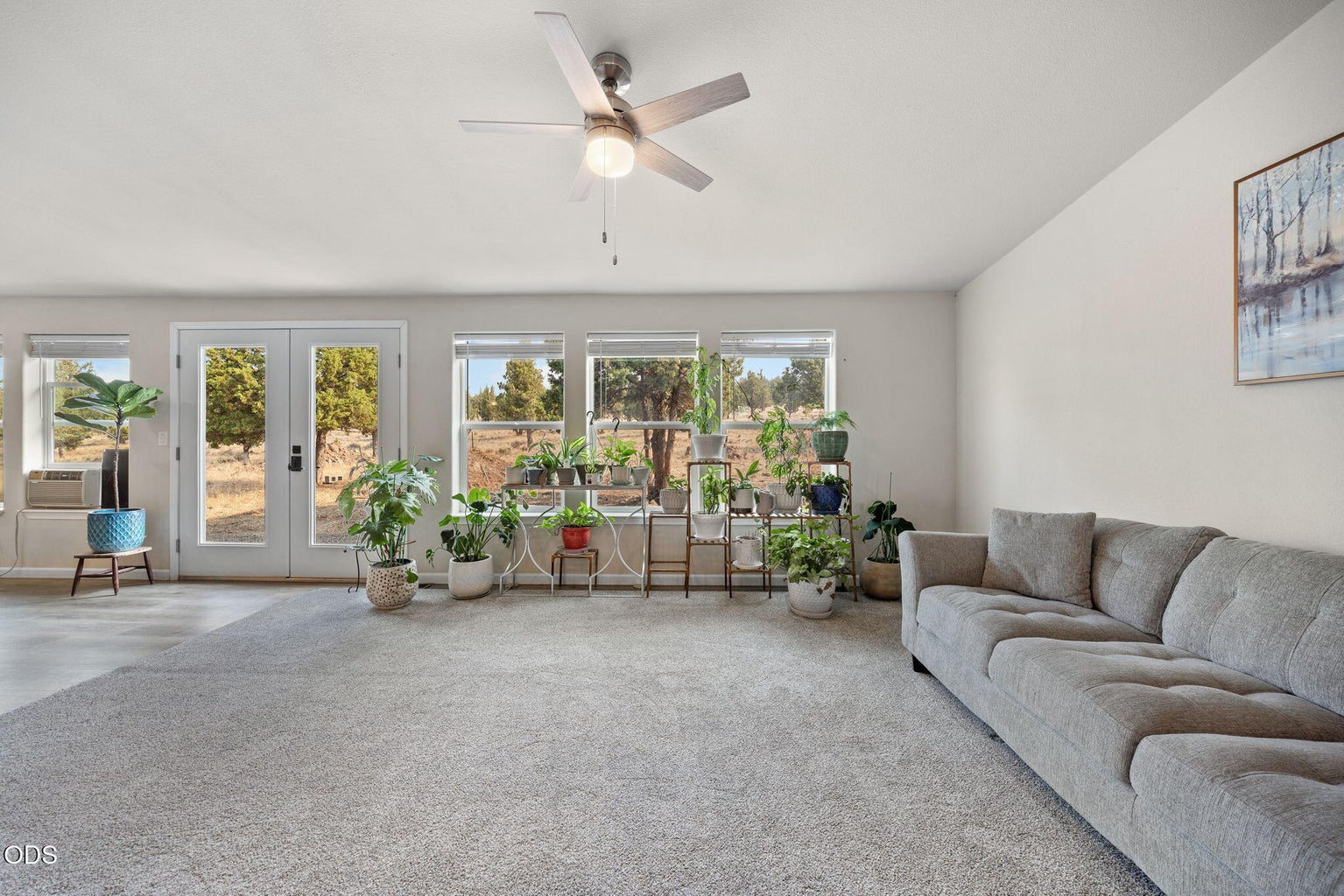 Lots of natural light