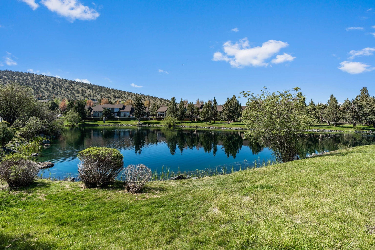 Photo of 10869 Village Loop 30 of 38