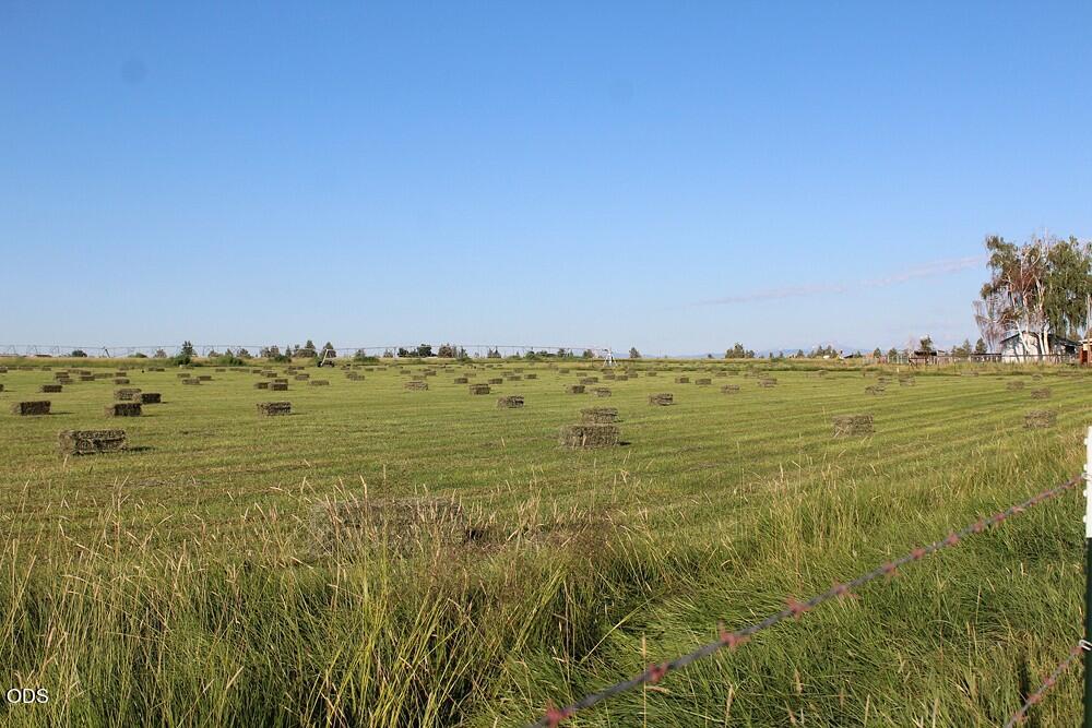 Photo of 4799 SW Williams Road 56 of 77