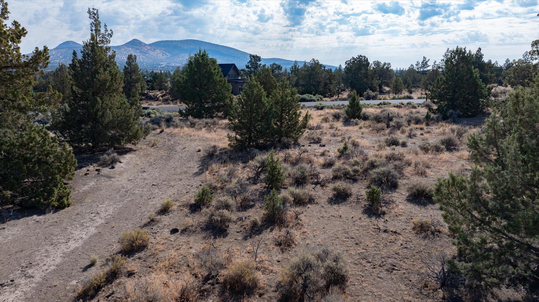 Photo of Chaparral Drive 6 of 26
