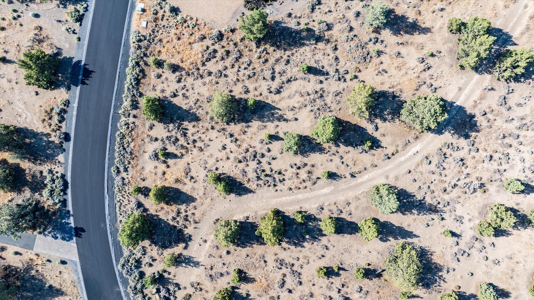 Photo of Chaparral Drive 8 of 26